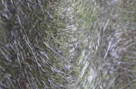 Howick Cross fibreglass roof work